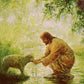 Gentle Shepherd
