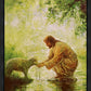 Gentle Shepherd