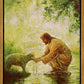 Gentle Shepherd