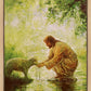 Gentle Shepherd