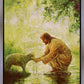 Gentle Shepherd