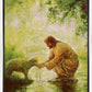 Gentle Shepherd