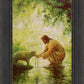 Gentle Shepherd