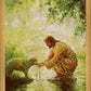 Gentle Shepherd