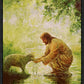 Gentle Shepherd