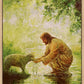 Gentle Shepherd