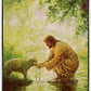 Gentle Shepherd