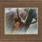 Crucifixion
