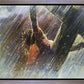 Crucifixion