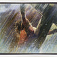 Crucifixion