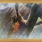 Crucifixion