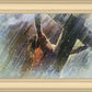 Crucifixion