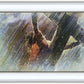 Crucifixion