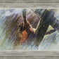 Crucifixion