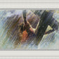 Crucifixion