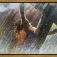 Crucifixion