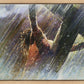 Crucifixion