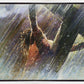 Crucifixion