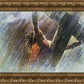 Crucifixion