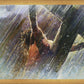 Crucifixion