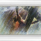 Crucifixion