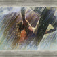 Crucifixion