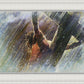 Crucifixion