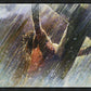 Crucifixion