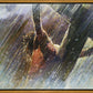 Crucifixion