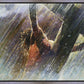 Crucifixion