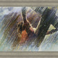 Crucifixion