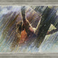 Crucifixion