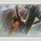 Crucifixion
