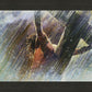 Crucifixion