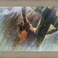 Crucifixion