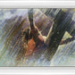 Crucifixion