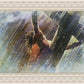 Crucifixion