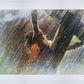 Crucifixion