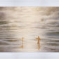 Dancing on Water