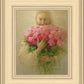 The Rose of Sharon