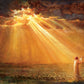 Rejoice in His Light