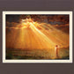 Rejoice in His Light