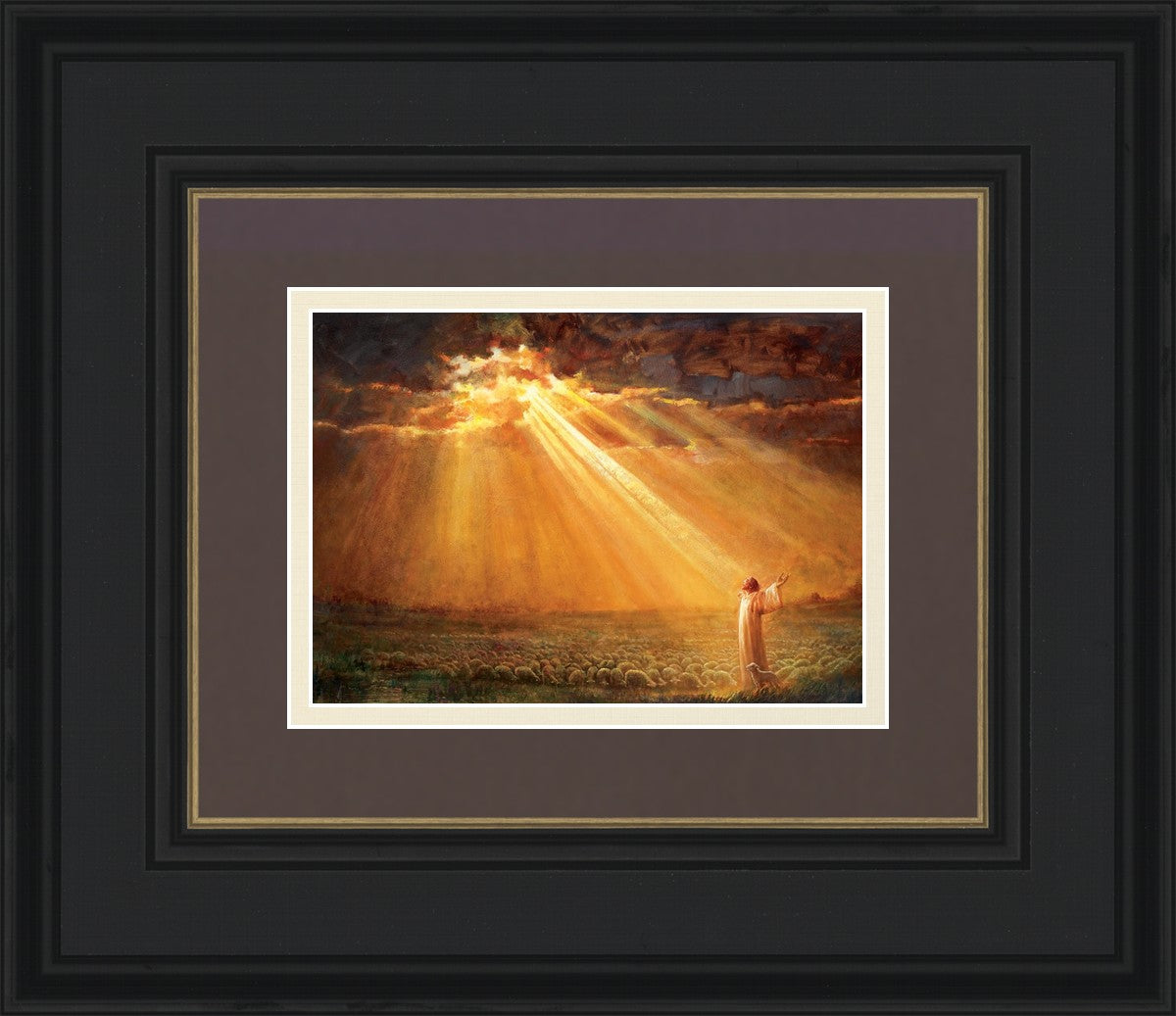 Rejoice in His Light
