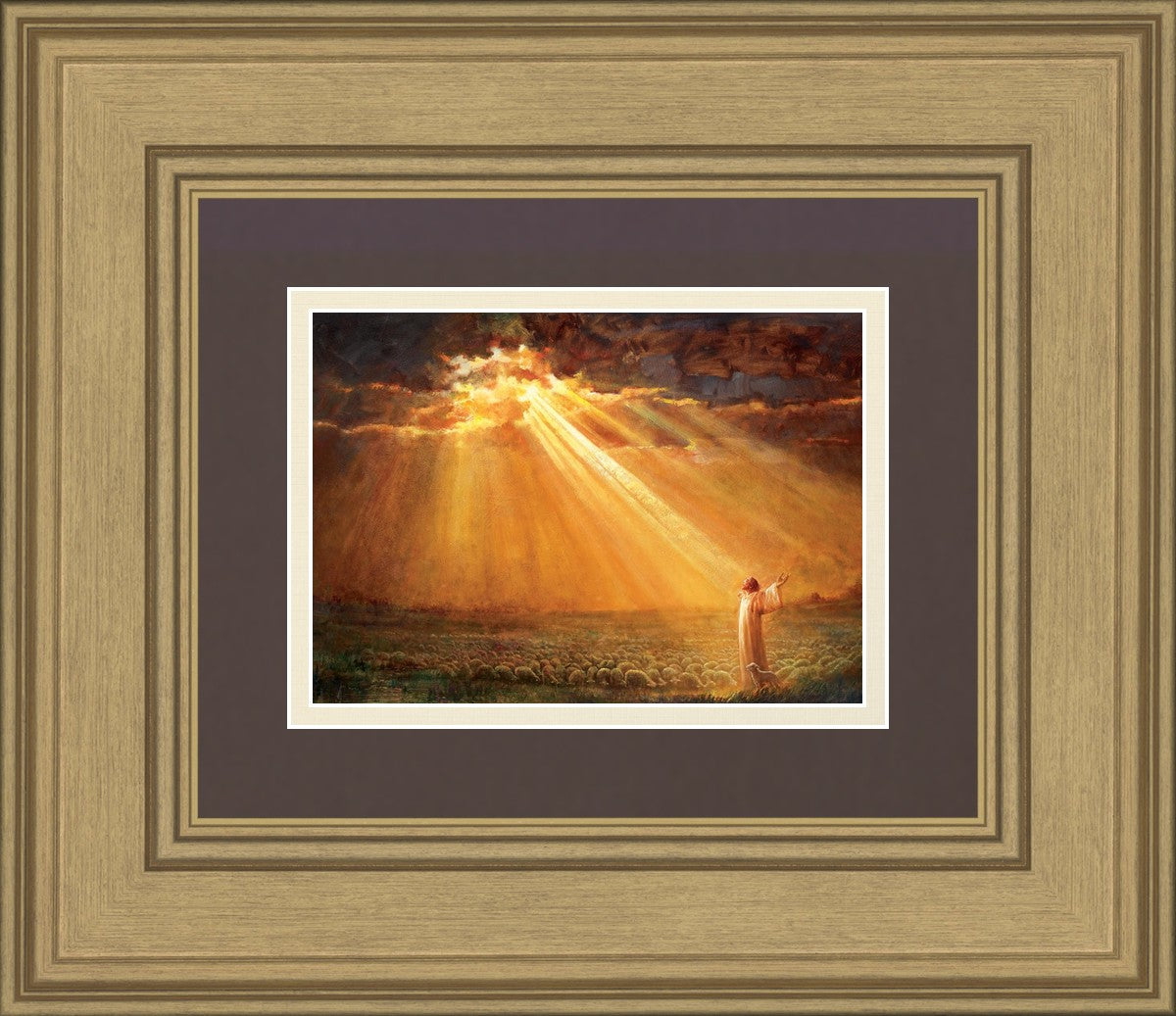 Rejoice in His Light