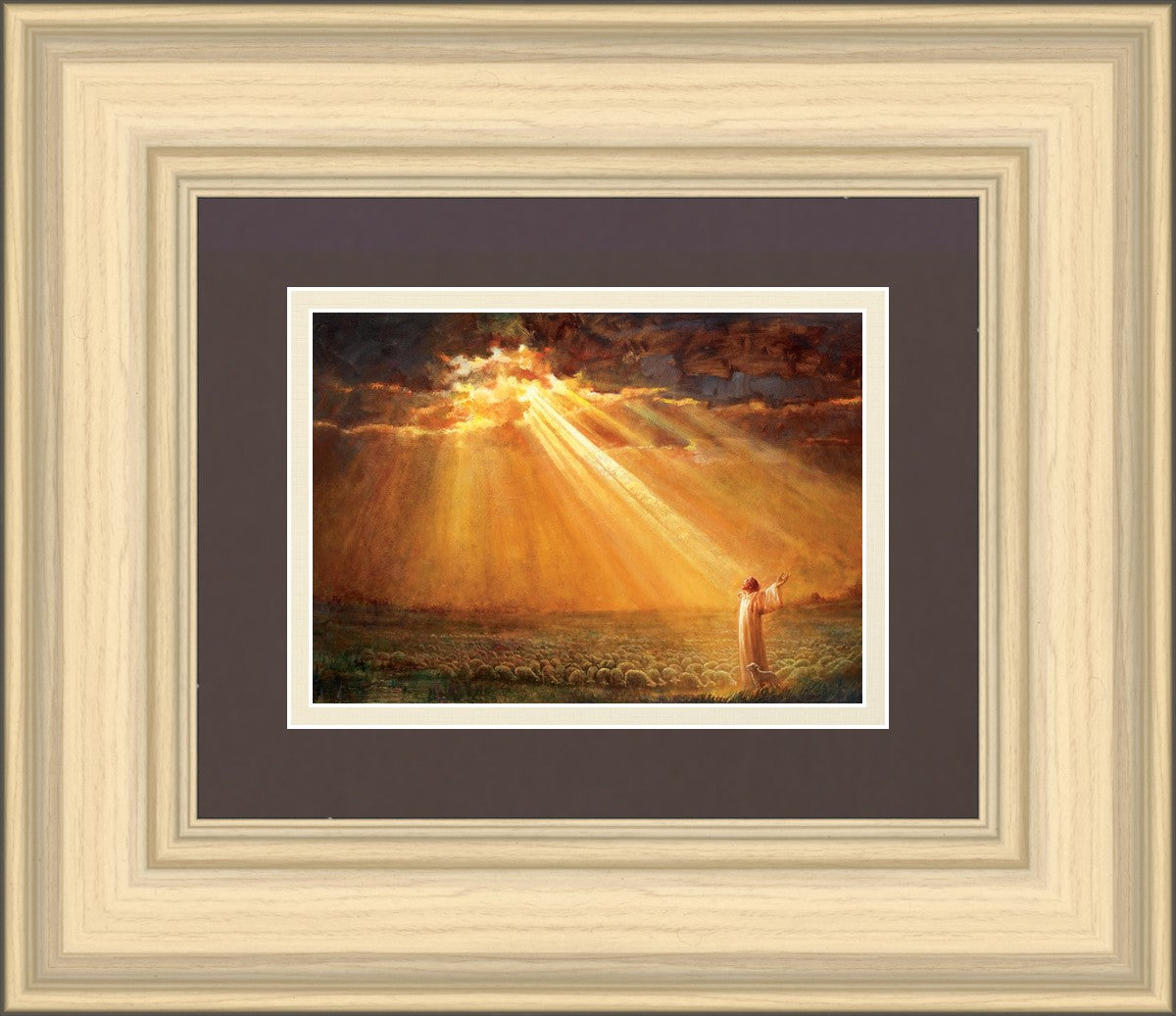 Rejoice in His Light