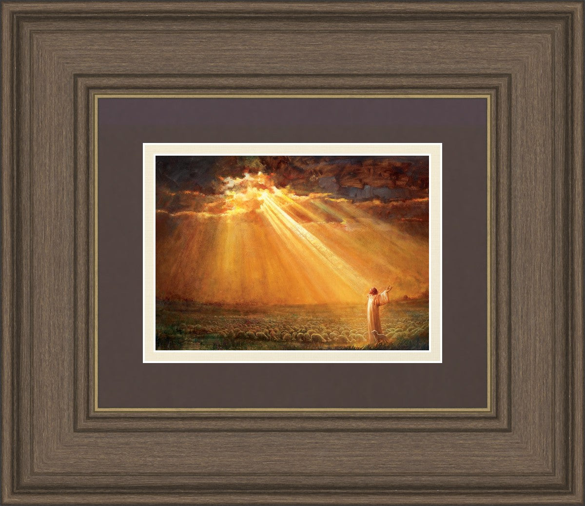 Rejoice in His Light