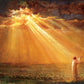Rejoice in His Light