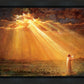 Rejoice in His Light