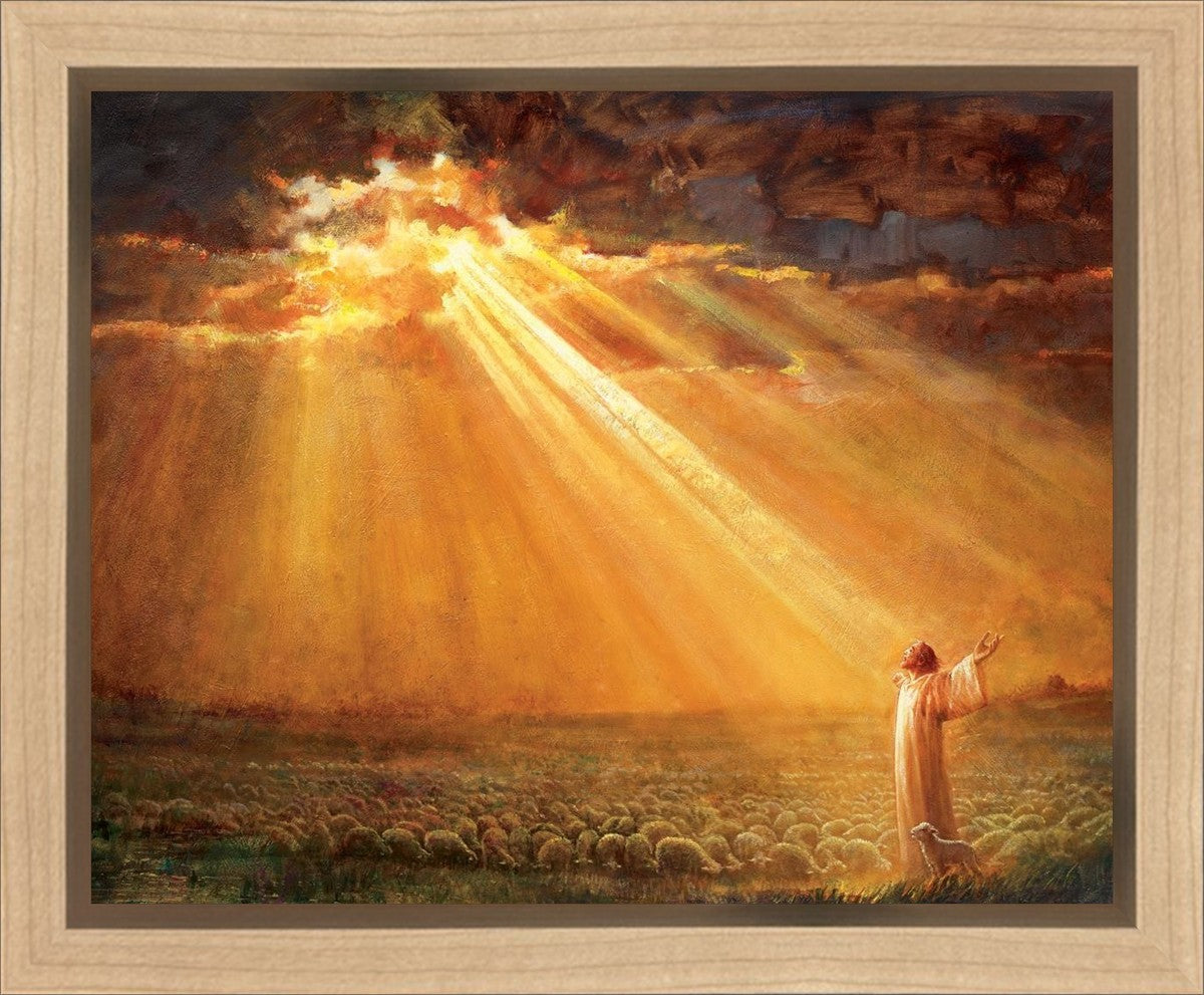 Rejoice in His Light