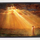 Rejoice in His Light